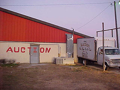 auction house 